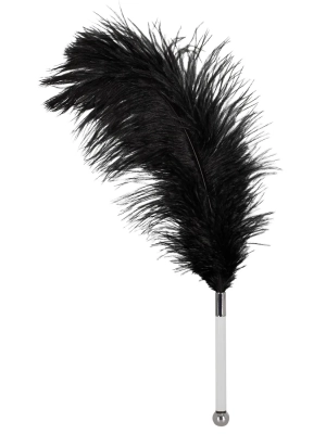 Pierko na predohru a erotické hry Feather Wand